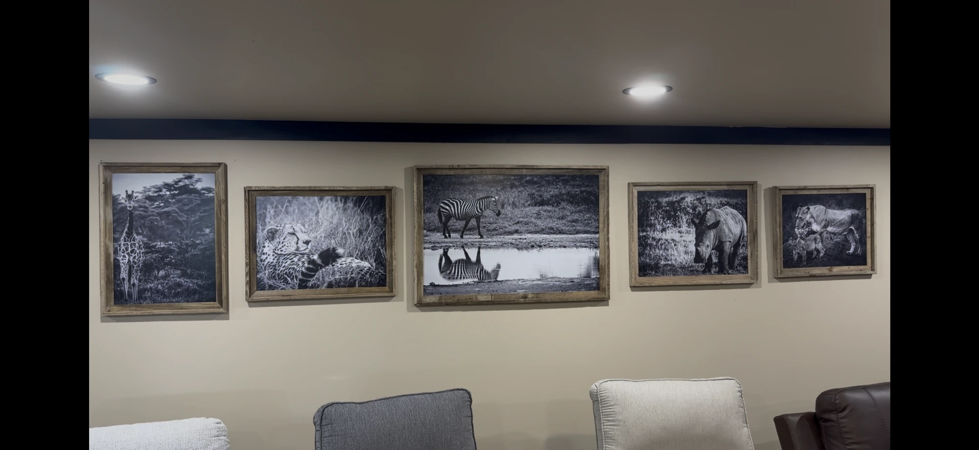 Wall of framed black-and-white wildlife prints
